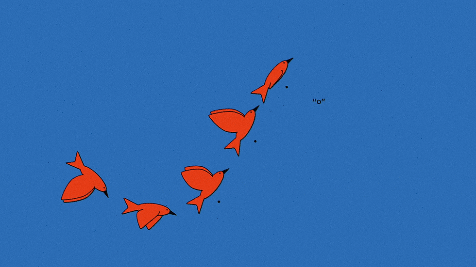 Bird Motion Design  for Jonathan Ogden Circles