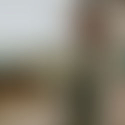 Bahçeli Ev: Özgürlük Alanı mı, Yoksa Açık Hava Hapishanesi mi?