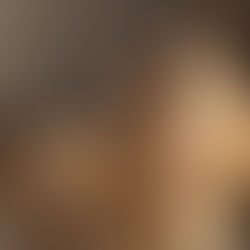 Evre havlayan bir köpek