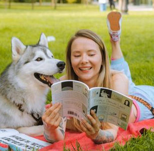 Sahibiyle parkta keyifle çimlere uzanan husky