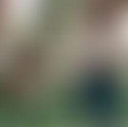 Bahçeli Evlerde Köpek Sahibi Olmak: Avantajlar ve Sorumluluklar