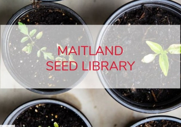 Maitland Seed Library Logo