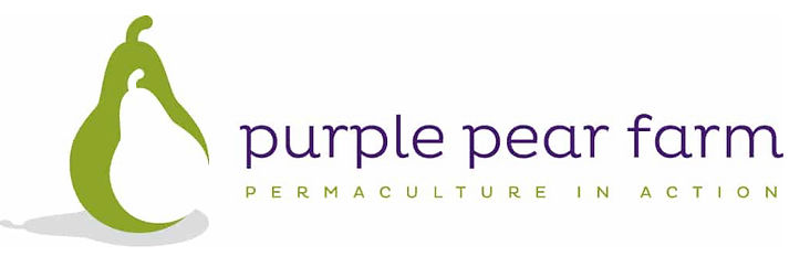 PurplePearFarm.jpeg