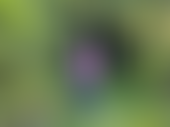 November Field Day/AGM