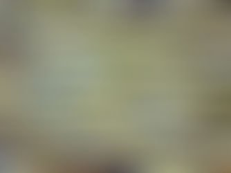 Painting of sardines