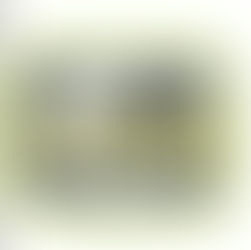 A legal battle ensued that got world attention at the time. This became the first celebrated Right to Die case.