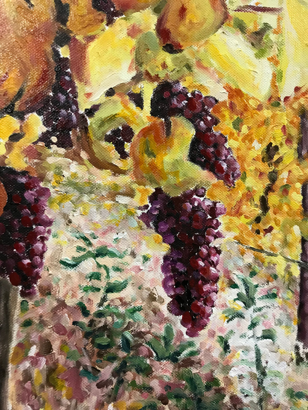 vignoble encore