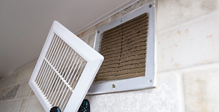 AdobeStock_271394475-scaled.jpeg