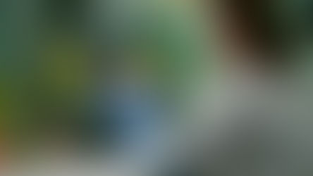 El Papel Fundamental de la Inteligencia Artificial en los Análisis Microbiológicos.