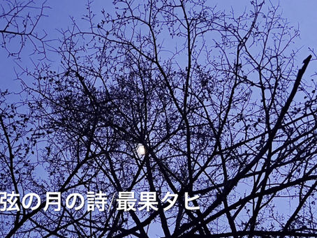 上弦の月の詩/最果タヒさん