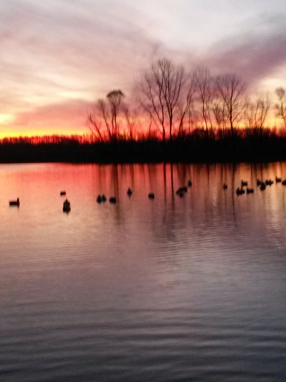 sunrise decoys.jpg