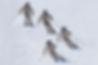 g-short-sequence.jpg