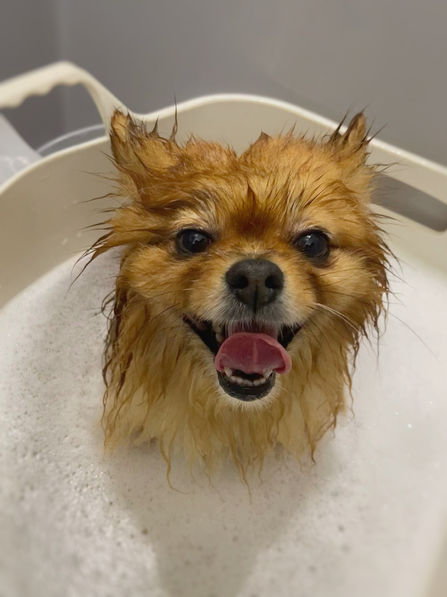 FullSizeRender (1).jpg