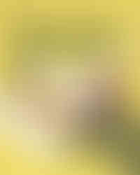 L'vie5 Vietnamese Duo