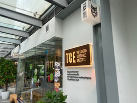The Cat Experience in The Star Vista mall