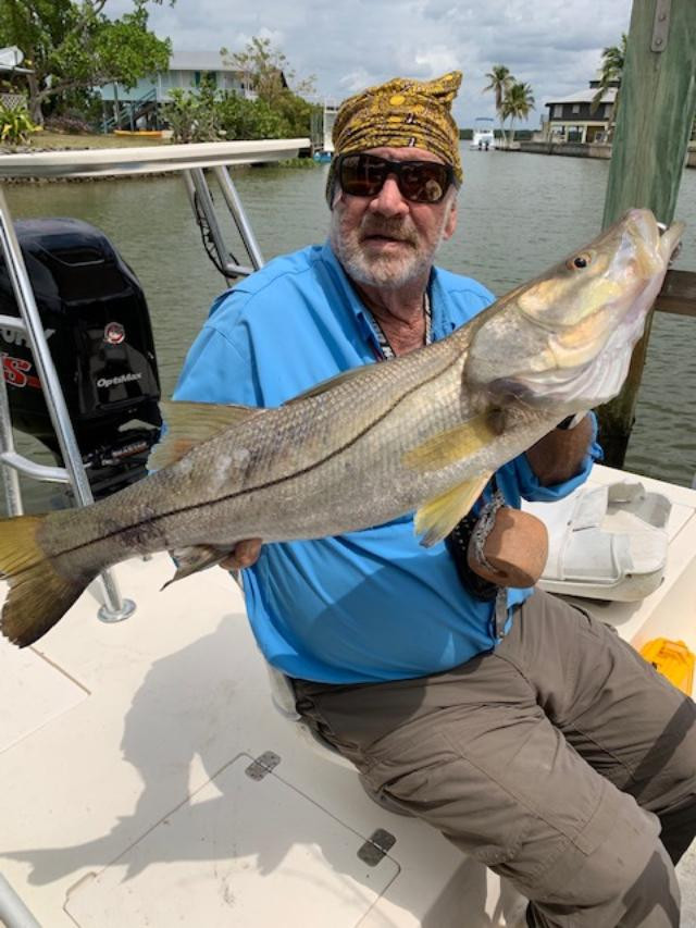 Snook fishing
