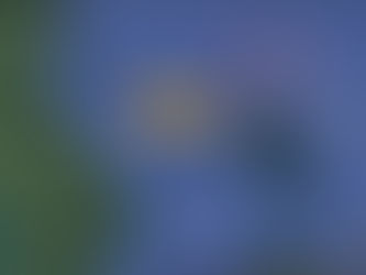 Earthquakes near Great Barrier Island