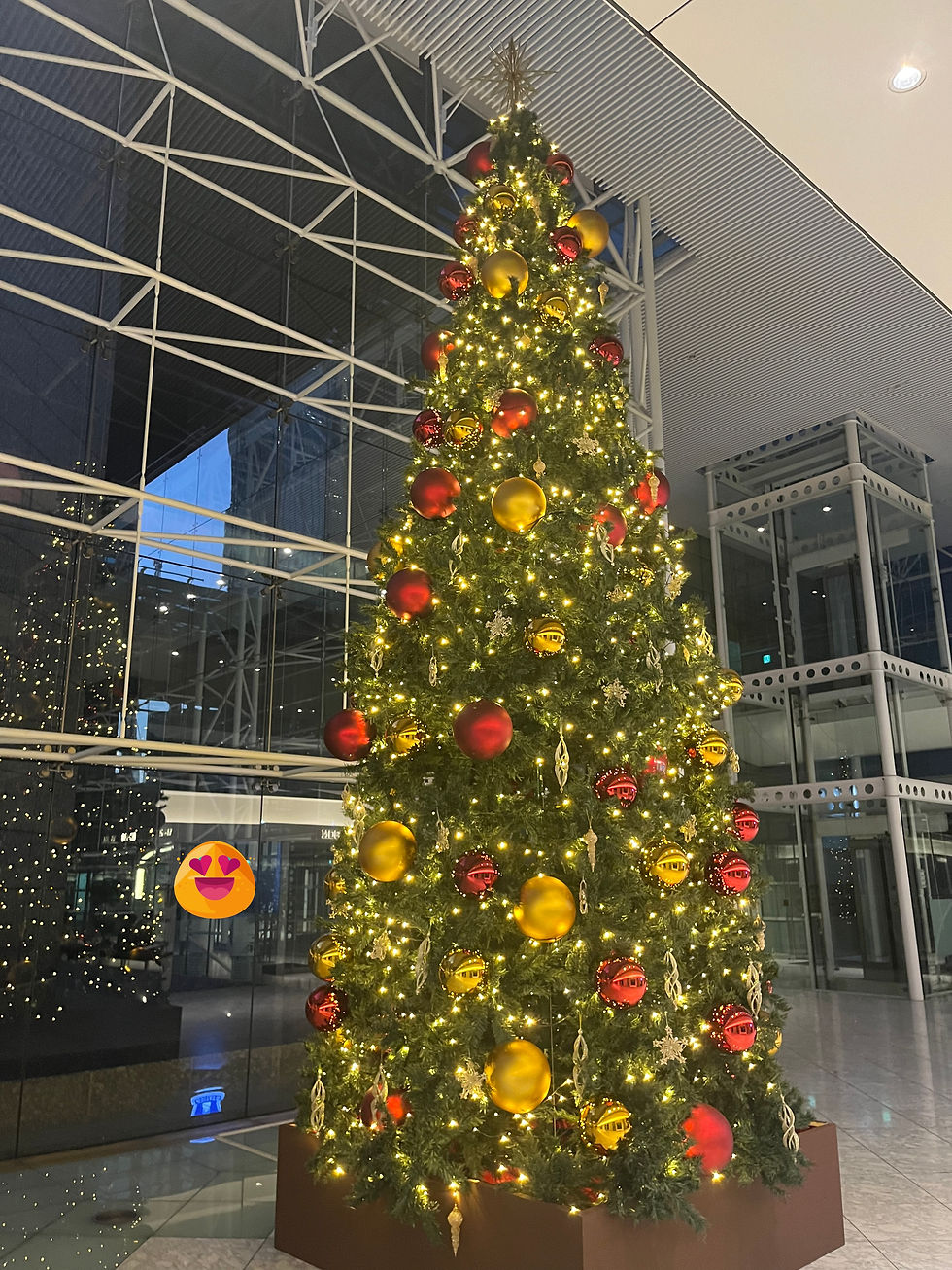 発表会・ブルコン・新規募集についてなど