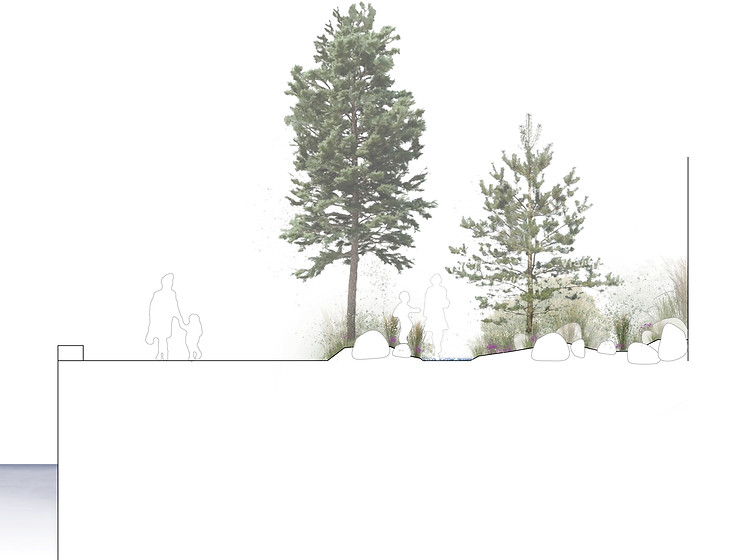 snit planternes arkitektur 2.jpg