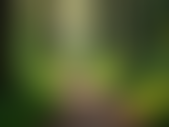 Unlock Your Potential with Personal Growth Coaching