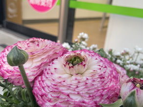 1月　寒さが厳しいですが、こんなにお花は、頑張って咲いてますスタッフの愛情⁉️早稲田イーライフ駿河小黒の入り口は、華やかで癒されます見に来てください^_^