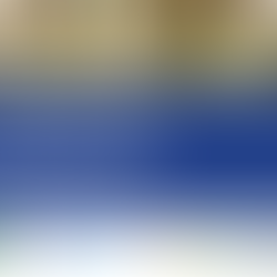 Tech for All: Driving Inclusivity in Nature-Based Solutions to Improve Societal Readiness Levels