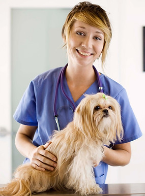 At the Vet_edited.jpg