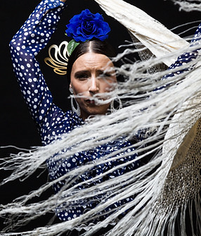 arte bailarín