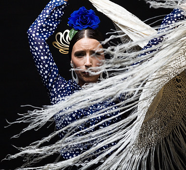 arte bailarín