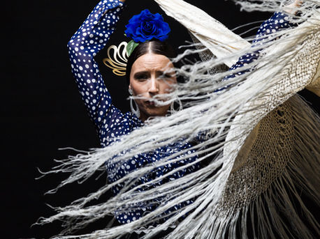 Art Import-Export Procedures Guide