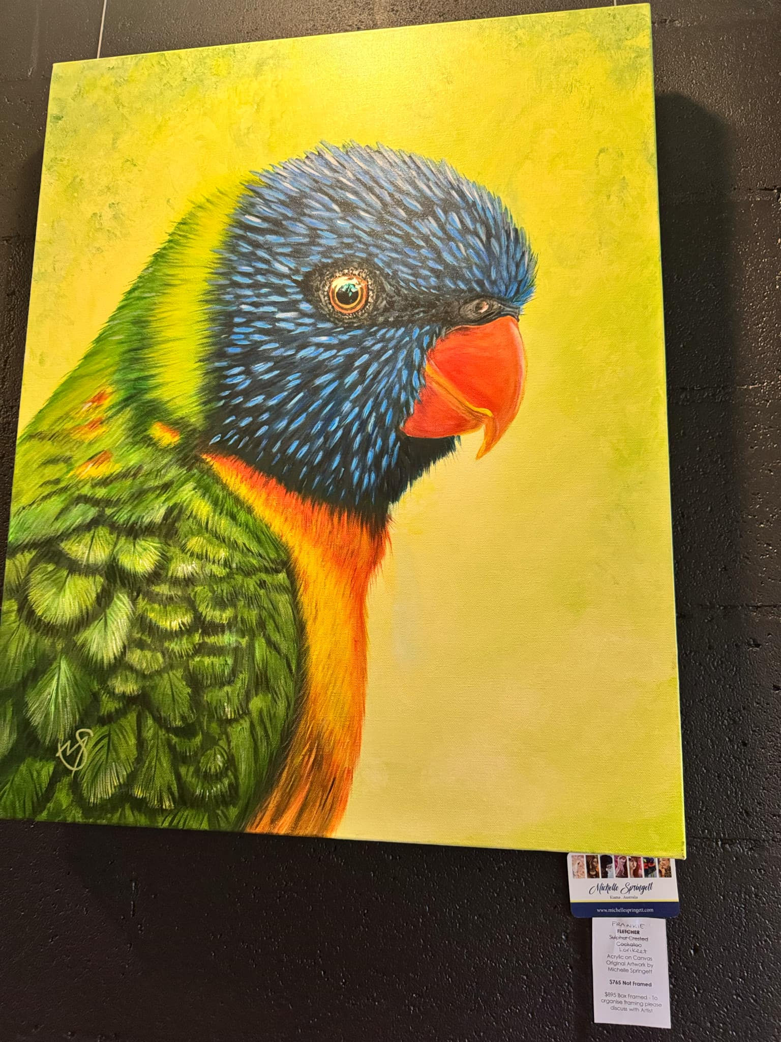 Frankie by Michelle Springett