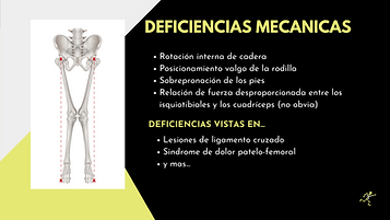 Conadeip Talk Day 1 - lower body(1).png