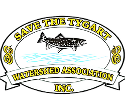 Untitled design_edited_edited.png