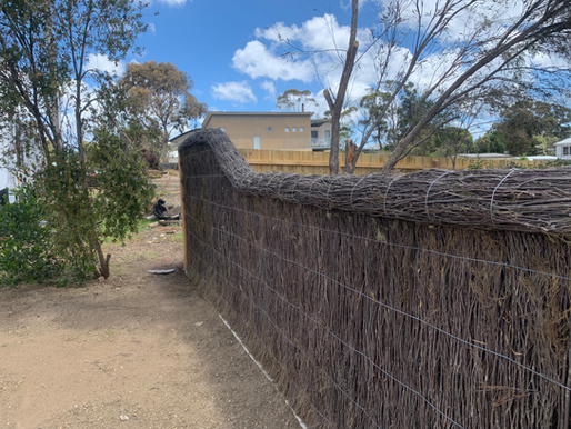 Stylish Brush Fencing Ideas for Your Outdoor Space