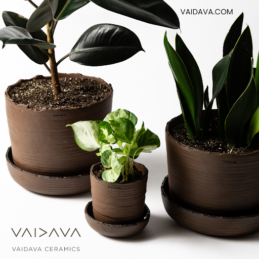 VAIDAVA CERAMICS, ソリル