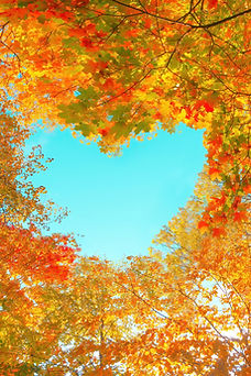 Connexion et plan karmique école Purusha.jpg