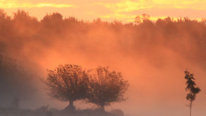 Comment transcender le deuil et retrouver un sens à la vie ?