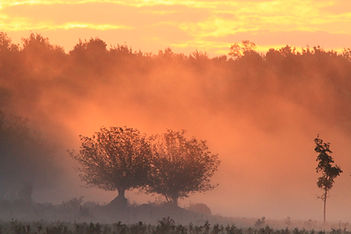 roue de médecine, École l'art de vivre purusha
