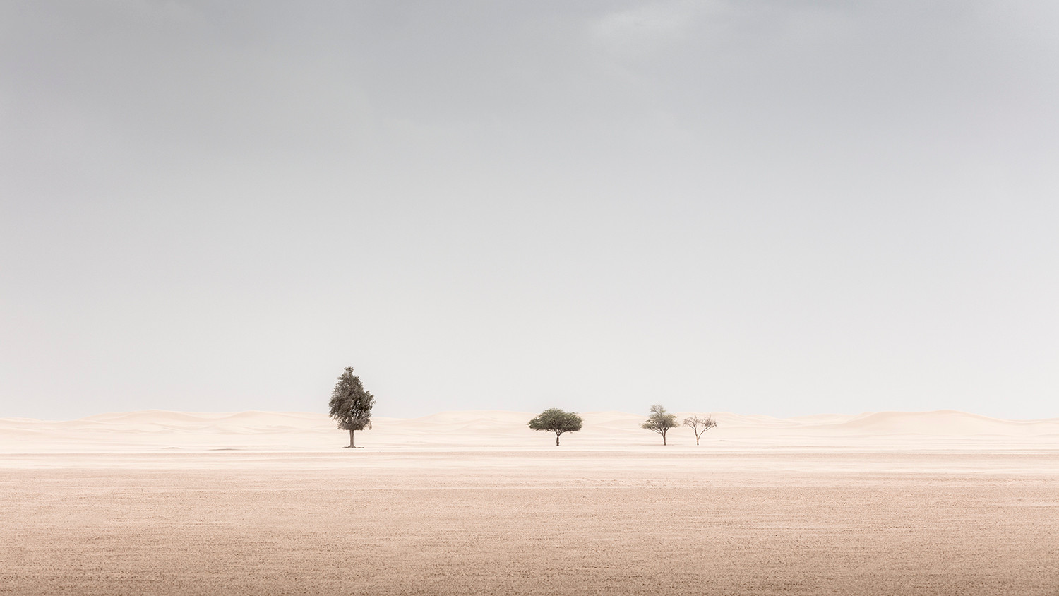Capture Beyond | Photography Workshops