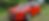 Thumbnail: Ford Fiesta Zetec S
