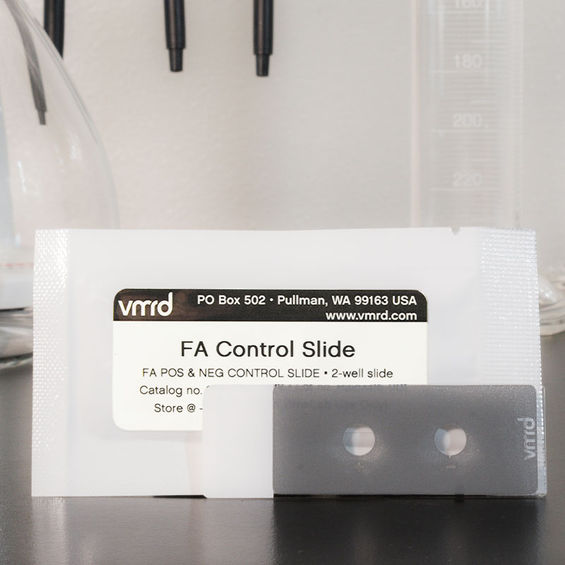 Rabies Recombinant Nucleoprotein (rNP) FA Control Slide