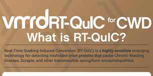 What is RT-QuIC? — INFOGRAPHIC