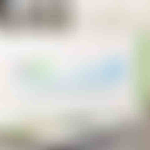 Feline Serum Amyloid A (SAA) Detection Test