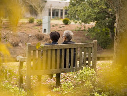 Brain Health: Tips for Maintaining Cognitive Function