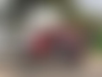 Triple ejecución en Almoloya de Juárez