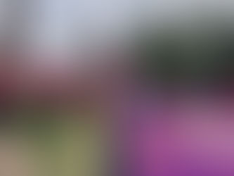 Salvar el bosque que da agua al valle de México, prioridad de Memo Zamacona