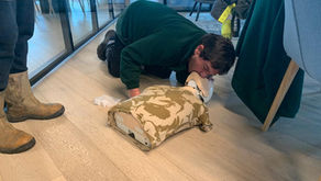 First Aid Training