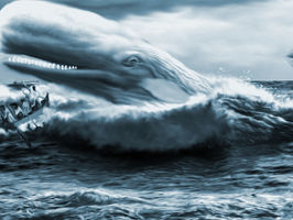 Our resident Moby Dick, bags another monster