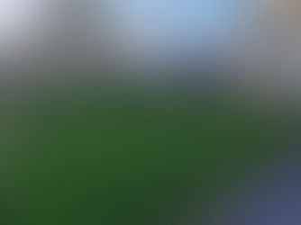 Tree & Whip Planting