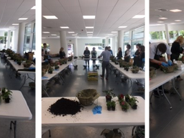 More Hanging Basket Workshops